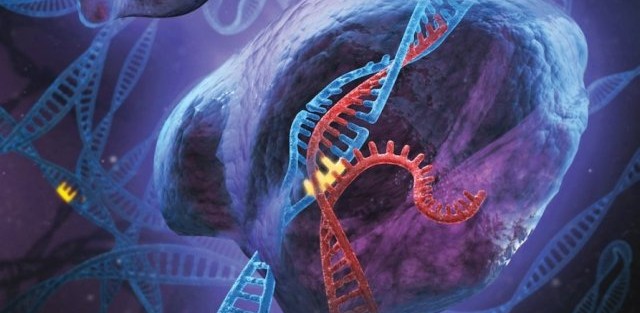 Scientific Experiments Show That DNA Begins As A Quantum Wave And Not ...