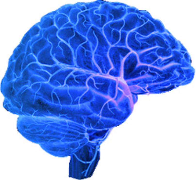 Синий мозг. Старение мозга. Мозг синий сем. Мозги розово синие.