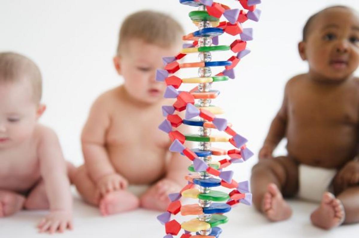 Genetically Modified Humans Are Coming Us Scientists Just Backed Permanent Gene Editing In 5988