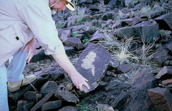 This rock, at an ancient vision quest site in the wilderness on the California-Mexico border, rings like tubular bells when struck with a hammerstone. It is the only rock in the vicinity to be marked with a rock engraving (dated to c.500 A.D.). This resea