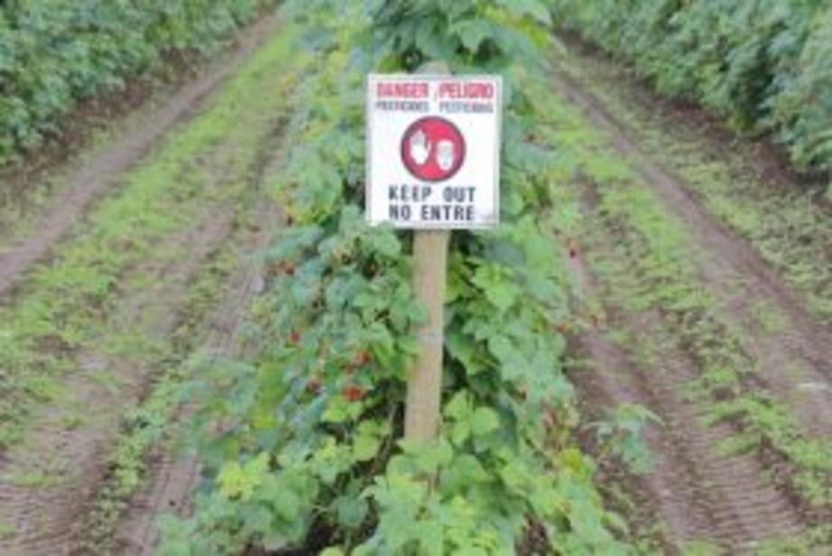 Spraying food with toxic pesticides including fungicides? Great idea.
