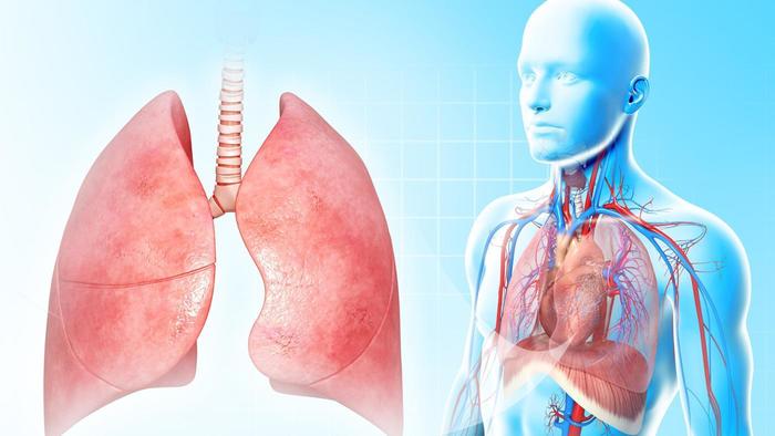 New Study Shows How Bacteria Get Into The Lungs - Nexus Newsfeed