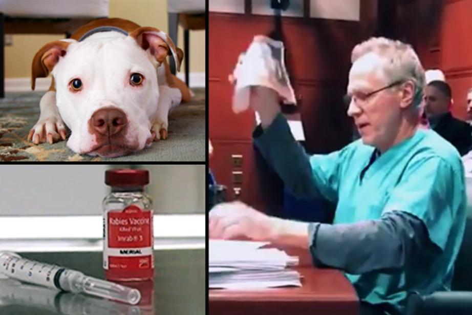Dr. John Robb, right, has a simple request for the pet vaccination industry — one that is not being taken seriously, unfortunately.