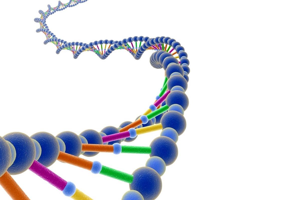 Днк без рекламы ютуб. Спираль ДНК. Молекула ДНК. Цепочка ДНК. Ген без фона.