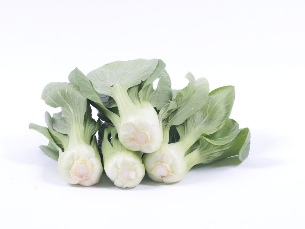 vegetable well being bok choy