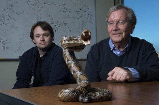 UCI chemistry professor Ken Shea (right) and doctoral student Jeffrey O'Brien have developed a broad-spectrum snake venom antidote. Credit: Steve Zylius / UCI