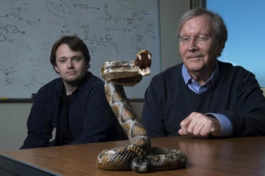 UCI chemistry professor Ken Shea (right) and doctoral student Jeffrey O'Brien have developed a broad-spectrum snake venom antidote. Credit: Steve Zylius / UCI