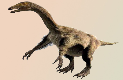 Nothronychus mckinleyi is a dinosaur classify in the group Therizinosauria, strange theropods with a toothless beak, a bird-like hip 