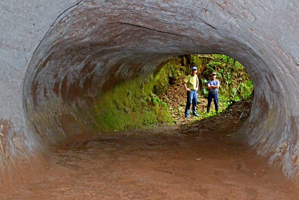 Are these massive tunnels in South America the work of giant sloths