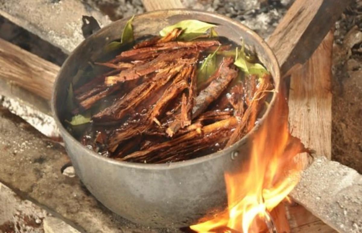 Psychedelic drug ayahuasca improves hardtotreat