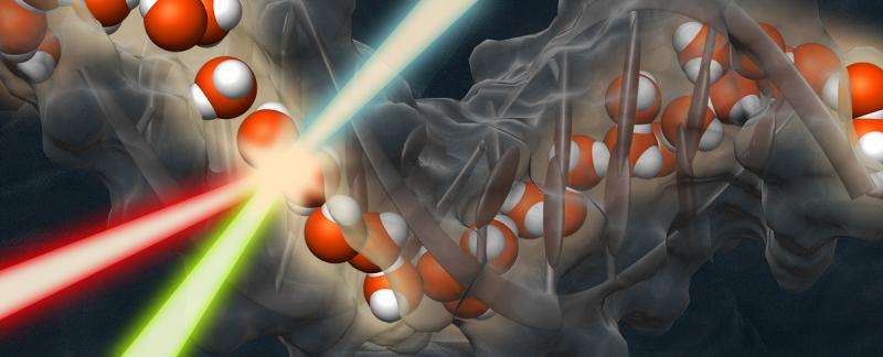 An illustration of what chiral nonlinear spectroscopy reveals: that DNA is surrounded by a chiral water super-structure, forming a 