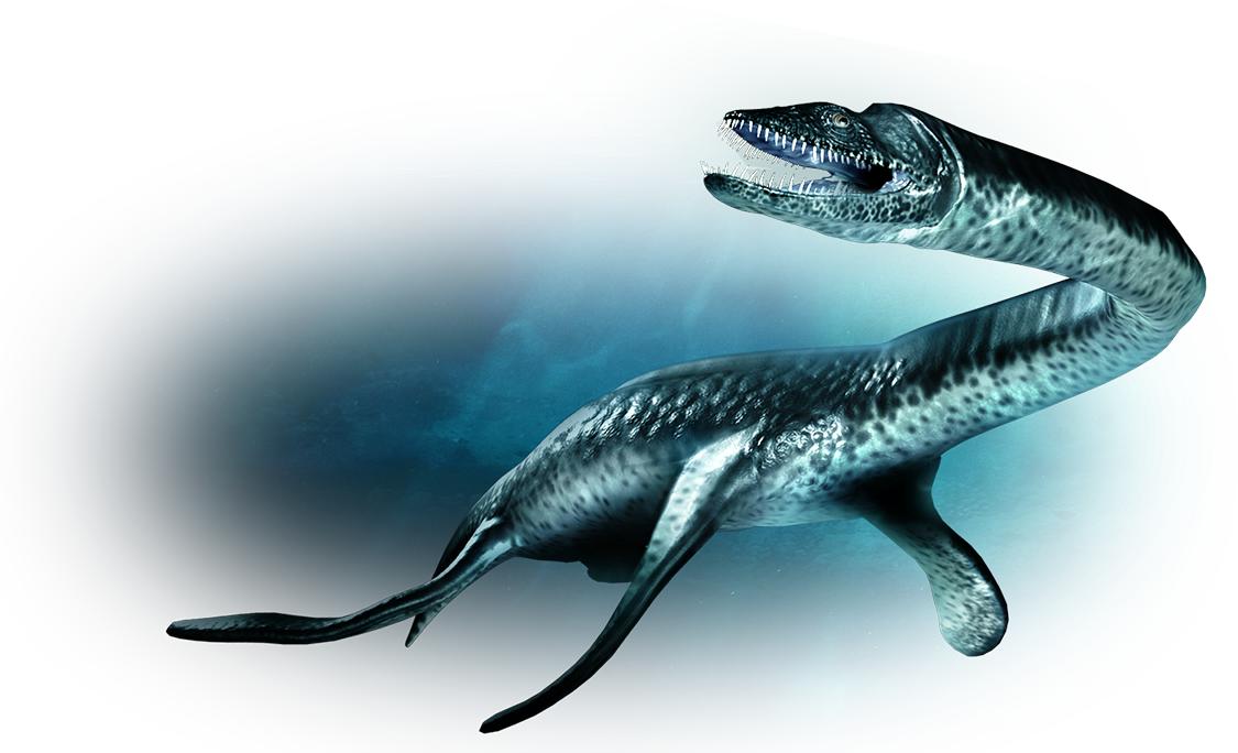 Plesiosaurus 