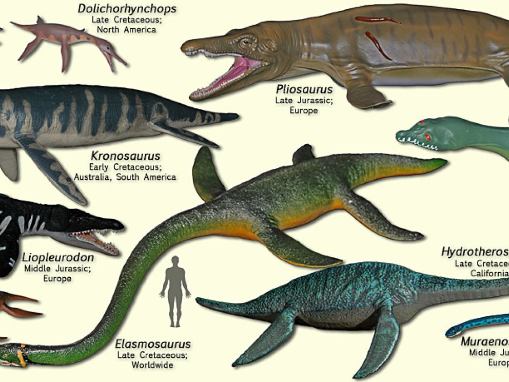 New Species Of Bus-sized Fossil Marine Reptile Unearthed In Russia 