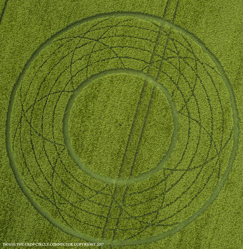 Near circle. Crop circles.