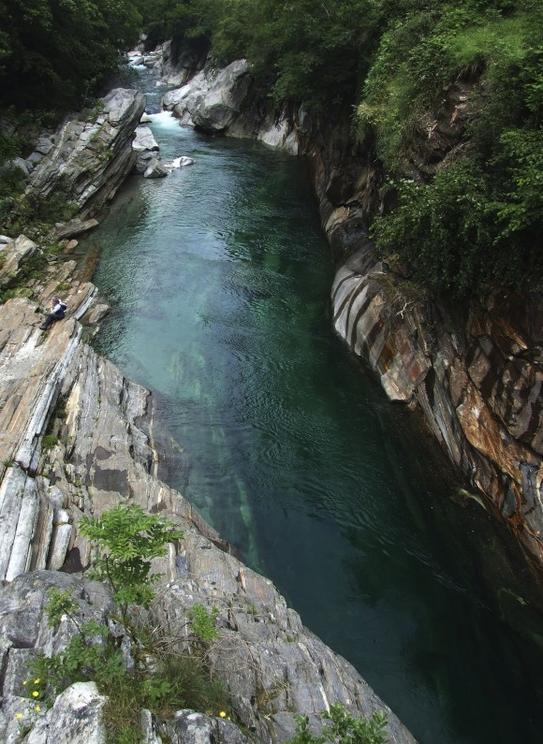 The Amazon River. 