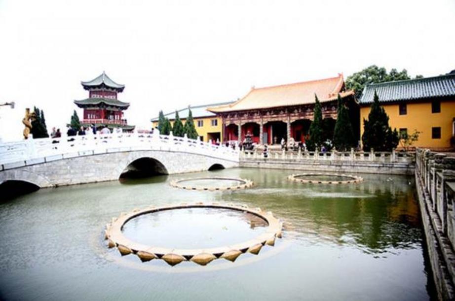 The Lotus Pond at Donglin Temple 