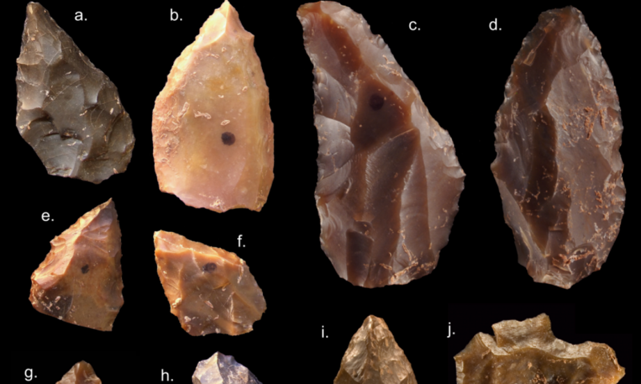 Some of the Middle Stone Age stone tools from Jebel Irhoud (Morocco). Pointed forms such as a-i are common in the assemblage. Also characteristic are the Levellois prepared core flakes (j-k)