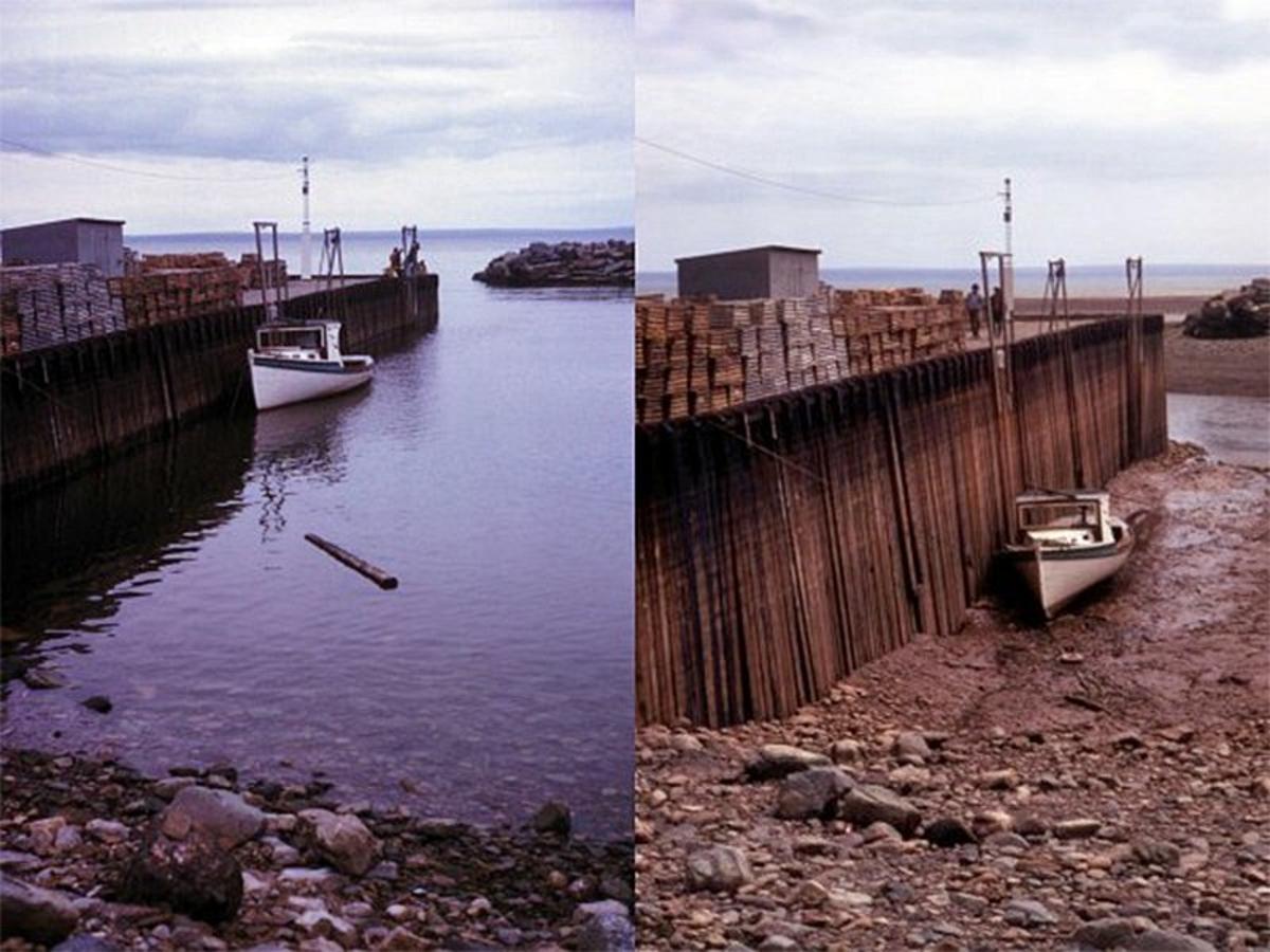 The <b>Bay</b> <b>of</b> <b>Fundy</b> in Maine at high and low <b>tide</b>. 