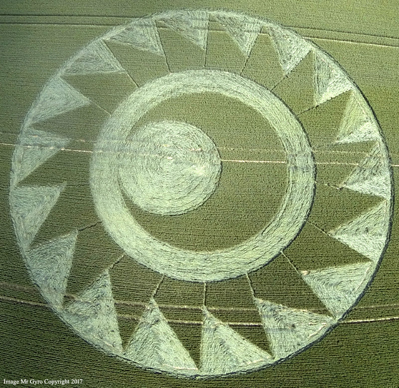 Crop circle: Cheesefoot Head, Nr Winchester, Hampshire - Nexus Newsfeed