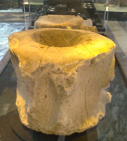 The people of the Norte-Chico civilization used blue whale vertebrae as stools.