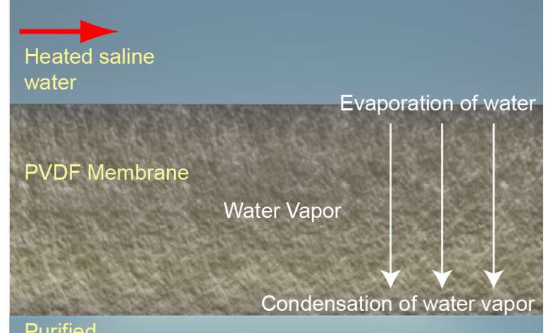 In conventional membrane distillation (top), hot saltwater is flowed across one side of a porous membrane and cold freshwater is flowed across the other. Water vapor is naturally drawn through the membrane from the hot to the cold side. In NEWT's 