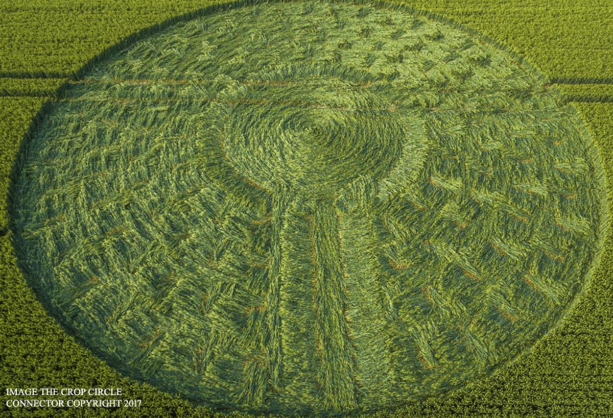 Circle the alternative. Круги на полях 2018. Тео круги на полях. Crop circle Center.