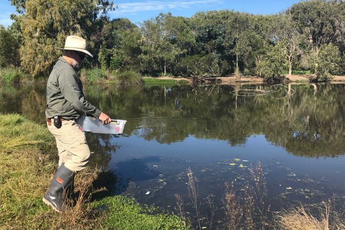 Graziers hopeful new cane toad trap system will 'make a serious dent ...