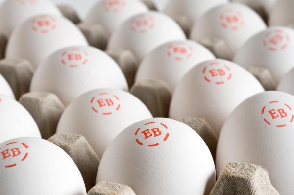 The Eggland’s best “organic” eggs contain this symbol and are sold at many major grocery stores.