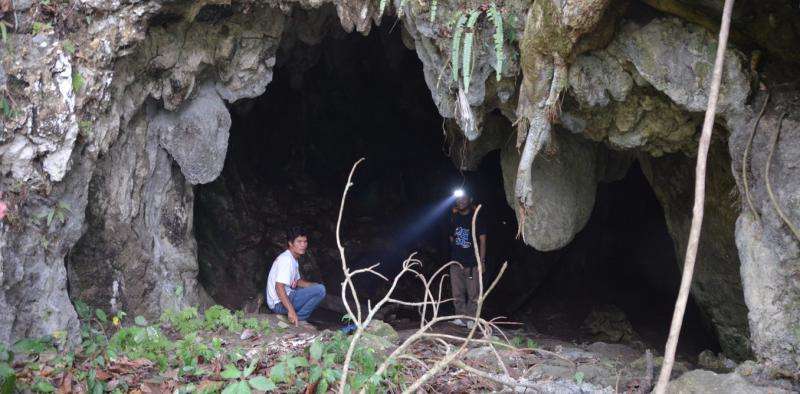 Lida Ajer cave - a small but well decorated front entrance.