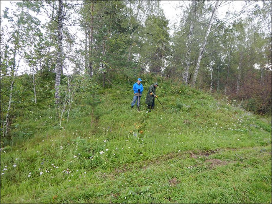 Siberian scientists study the Altai walls, concealed under thick layers of turf.