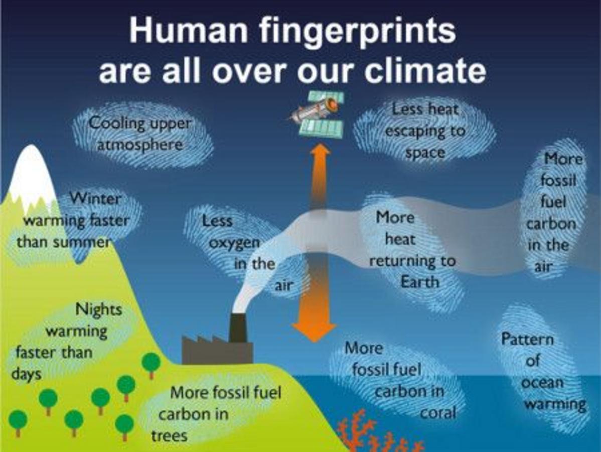 Human warm. Причины глобального потепления англ. Проблемы климата на английском. Изменение климата. Глобальное изменение климата английский.