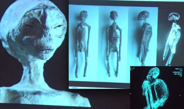 Updates on the potential alien body unearthed in Nazda, Peru. Unlike anything we've ever found