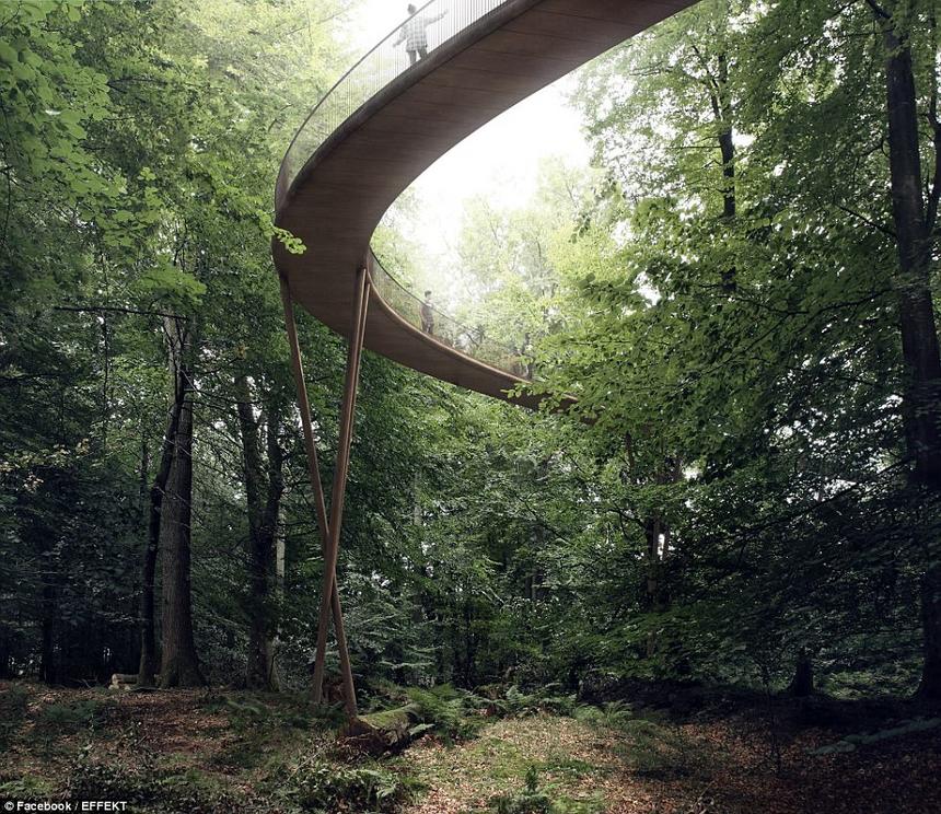 Unique: Users can amble through the privately-owned forest with exceptional access to the foliage and natural wildlife