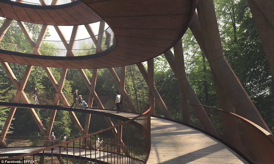 Tree-mendous! The stunning plans for an elevated walk through one of 