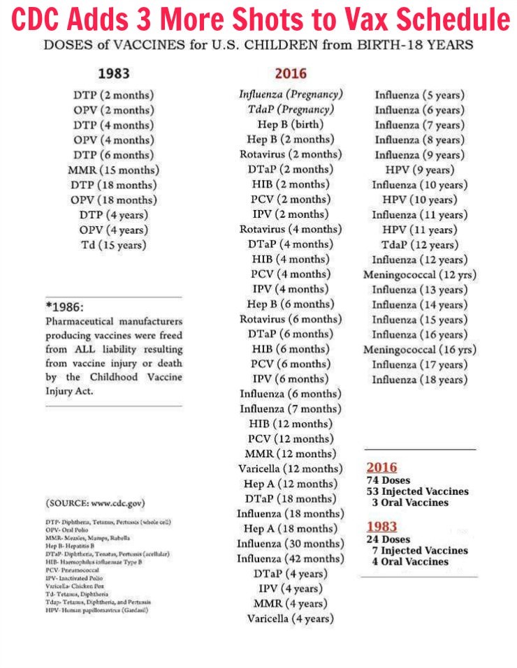 radioeins schedule history