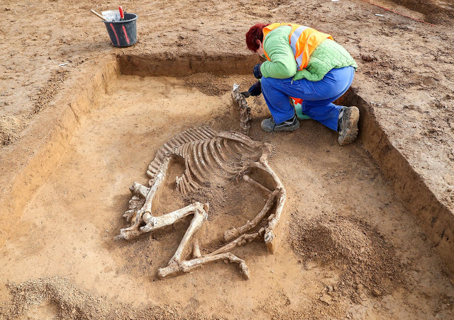 Merovingian Necropolis With Warriors, Horses And Unusual Burials ...