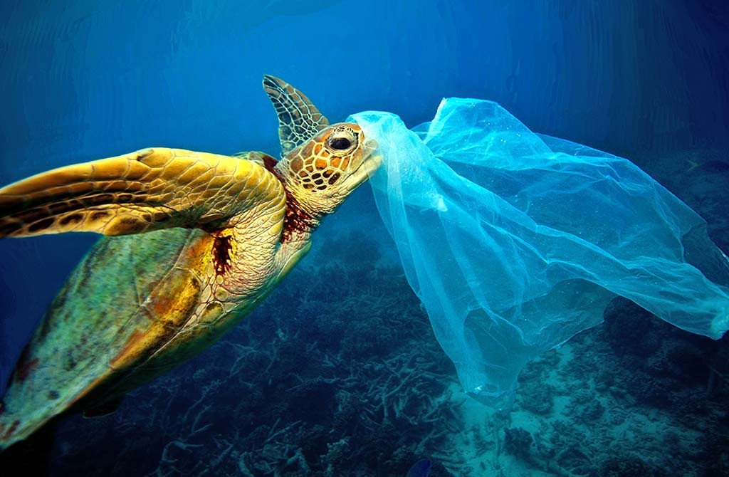 Plastic Trash Found In Ocean Animals Living 7 Miles Deep - Nexus Newsfeed