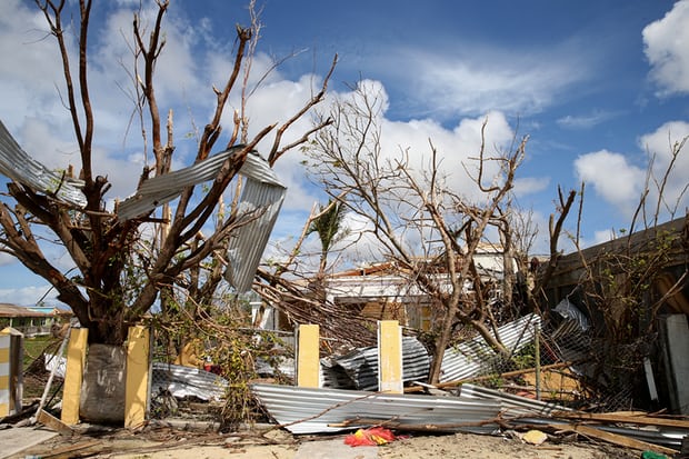 Debris in the Codrington lagoon, Barbuda.