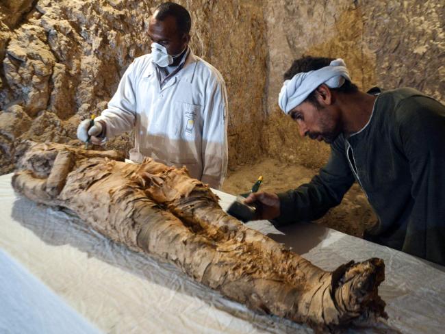 Mummy discovered in unexplored Egyptian tomb Nexus Newsfeed