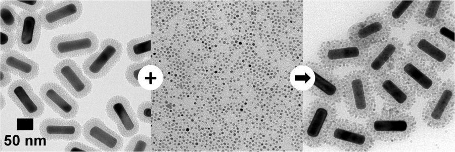 Mixing silica-overcoated gold nanorods (left) and iron oxide nanoparticles (center) yields iron oxide-overcoated gold nanorods (right).  Credit: Brian Chapman