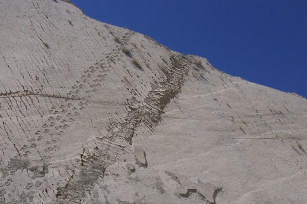 Dinosaur tracks and a disturbed section of the wall.