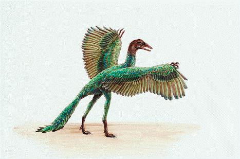 The Eleventh Archaeopteryx - Nexus Newsfeed