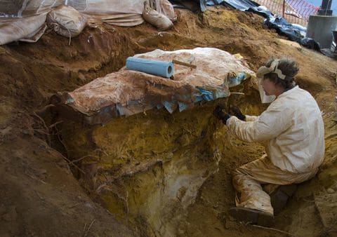 A NASA volunteer works to excavate the slab containing the fossil footprints in January 2013.