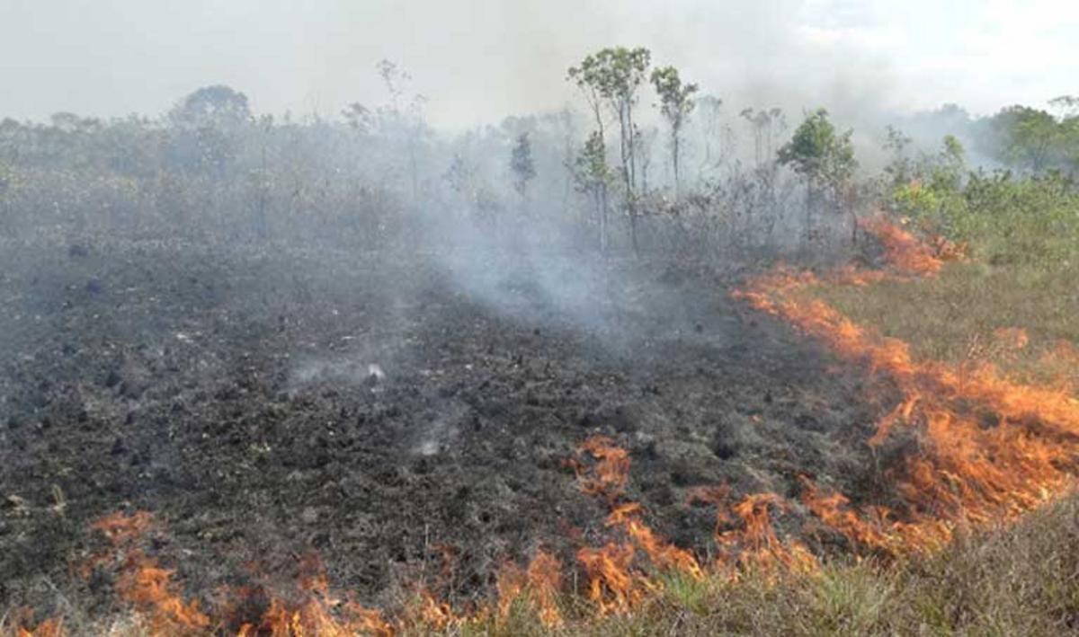 Лесные пожары в Амазонии. Амазония засуха. Грунт ада Амазония. Fogo Amazonia.