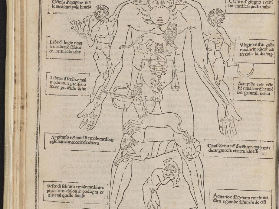 The Fasciculus Medicinae illustrates medical knowledge about anatomy from centuries ago. 