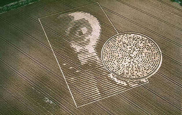 The Crop Circle Code Nexus Newsfeed   Crop1 