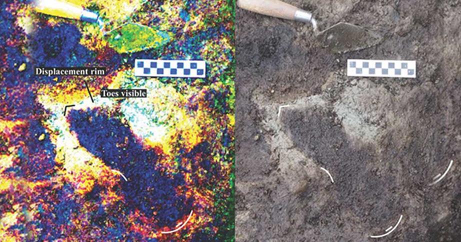 Track number #22 showing sediment displacement rim around distal end of the ancient footprint. 