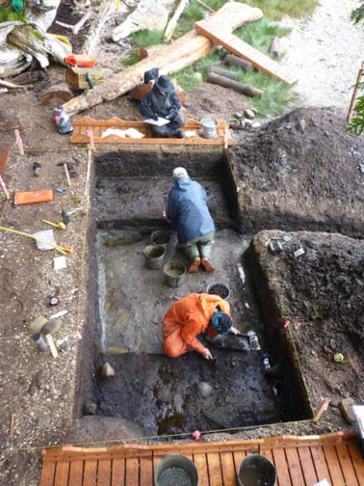 View of the 4 x 2 meter (13.12 x 6.56 ft.) excavation unit.