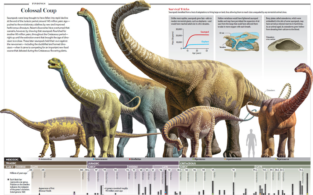 Rare Scottish dinosaur prints give key insight into era lost in time ...