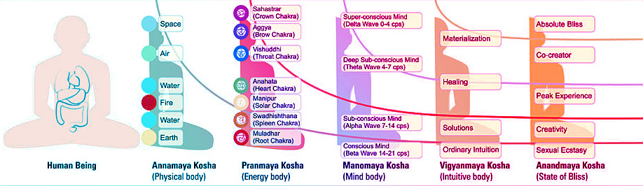 less well-known than the chakras, the koshas are another integral part of our external energetic anatomy